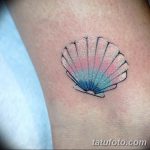 фото тату раковина от 07.10.2017 №158 - tattoo shell - tatufoto.com