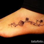 фото тату раковина от 07.10.2017 №159 - tattoo shell - tatufoto.com