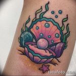 фото тату раковина от 07.10.2017 №163 - tattoo shell - tatufoto.com