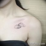 фото тату раковина от 07.10.2017 №167 - tattoo shell - tatufoto.com