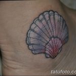 фото тату раковина от 07.10.2017 №168 - tattoo shell - tatufoto.com