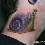 фото тату раковина от 07.10.2017 №178 - tattoo shell - tatufoto.com