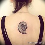 фото тату раковина от 07.10.2017 №182 - tattoo shell - tatufoto.com