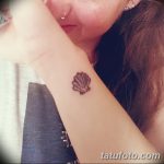 фото тату раковина от 07.10.2017 №183 - tattoo shell - tatufoto.com