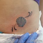 фото тату раковина от 07.10.2017 №186 - tattoo shell - tatufoto.com