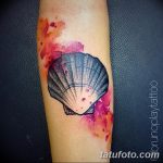 фото тату раковина от 07.10.2017 №190 - tattoo shell - tatufoto.com