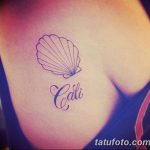 фото тату раковина от 07.10.2017 №195 - tattoo shell - tatufoto.com