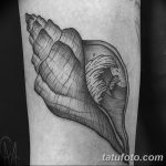 фото тату раковина от 07.10.2017 №200 - tattoo shell - tatufoto.com