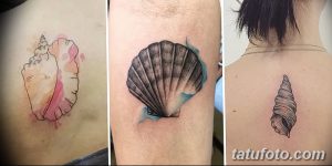 Фото коллажа с тремя разными татуировками ракушек: цветная на спине, черно-серая на руке и минималистичная на лопатке. Разнообразие стилей и размеров.
