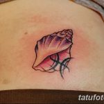 фото тату раковина от 07.10.2017 №204 - tattoo shell - tatufoto.com