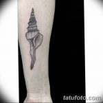 фото тату раковина от 07.10.2017 №206 - tattoo shell - tatufoto.com