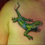 фото тату саламандра от 07.10.2017 №003 - tattoo salamander - tatufoto.com