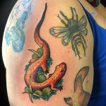 фото тату саламандра от 07.10.2017 №004 - tattoo salamander - tatufoto.com