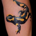 фото тату саламандра от 07.10.2017 №010 - tattoo salamander - tatufoto.com