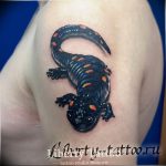 фото тату саламандра от 07.10.2017 №015 - tattoo salamander - tatufoto.com
