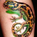 фото тату саламандра от 07.10.2017 №030 - tattoo salamander - tatufoto.com