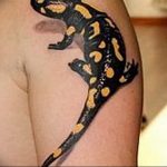 фото тату саламандра от 07.10.2017 №033 - tattoo salamander - tatufoto.com