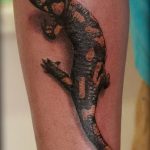 фото тату саламандра от 07.10.2017 №034 - tattoo salamander - tatufoto.com
