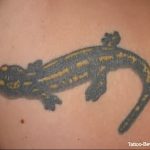 фото тату саламандра от 07.10.2017 №038 - tattoo salamander - tatufoto.com