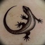 фото тату саламандра от 07.10.2017 №043 - tattoo salamander - tatufoto.com
