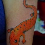фото тату саламандра от 07.10.2017 №050 - tattoo salamander - tatufoto.com