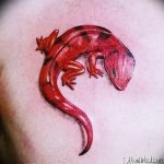 фото тату саламандра от 07.10.2017 №055 - tattoo salamander - tatufoto.com