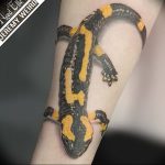 фото тату саламандра от 07.10.2017 №057 - tattoo salamander - tatufoto.com