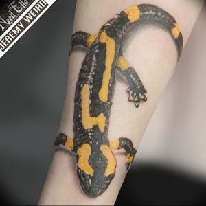 Фотография цветной татуировки саламандры на предплечье. Детализированная проработка текстуры кожи и яркие желтые пятна.