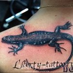 фото тату саламандра от 07.10.2017 №058 - tattoo salamander - tatufoto.com