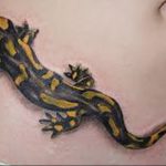 фото тату саламандра от 07.10.2017 №071 - tattoo salamander - tatufoto.com