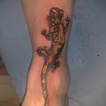 фото тату саламандра от 07.10.2017 №074 - tattoo salamander - tatufoto.com