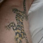 фото тату саламандра от 07.10.2017 №076 - tattoo salamander - tatufoto.com