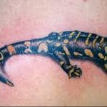 фото тату саламандра от 07.10.2017 №077 - tattoo salamander - tatufoto.com