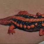 фото тату саламандра от 07.10.2017 №080 - tattoo salamander - tatufoto.com