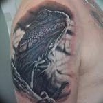 фото тату саламандра от 07.10.2017 №084 - tattoo salamander - tatufoto.com