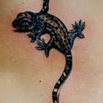фото тату саламандра от 07.10.2017 №085 - tattoo salamander - tatufoto.com