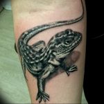фото тату саламандра от 07.10.2017 №088 - tattoo salamander - tatufoto.com