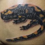 фото тату саламандра от 07.10.2017 №099 - tattoo salamander - tatufoto.com