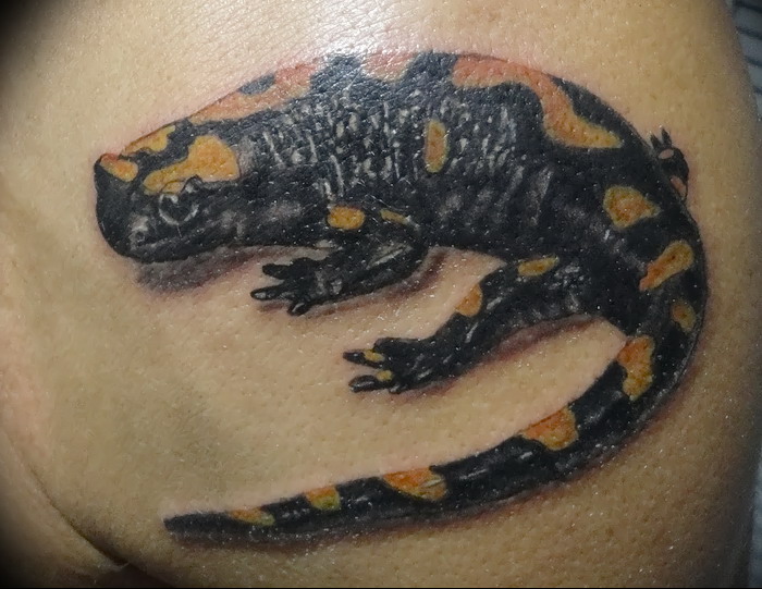фото тату саламандра от 07.10.2017 №099 tattoo salamander tatufoto