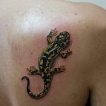 фото тату саламандра от 07.10.2017 №101 - tattoo salamander - tatufoto.com