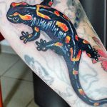 фото тату саламандра от 07.10.2017 №106 - tattoo salamander - tatufoto.com