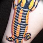 фото тату саламандра от 07.10.2017 №119 - tattoo salamander - tatufoto.com