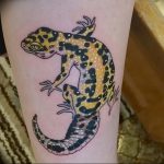 фото тату саламандра от 07.10.2017 №130 - tattoo salamander - tatufoto.com