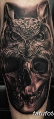 фото тату сова с черепом от 23.10.2017 №001 — tattoo owl with a skull — tatufoto.com