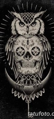 фото тату сова с черепом от 23.10.2017 №002 — tattoo owl with a skull — tatufoto.com