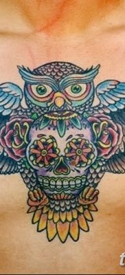 фото тату сова с черепом от 23.10.2017 №002 — tattoo owl with a skull — tatufoto.com 2354234342