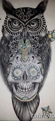 фото тату сова с черепом от 23.10.2017 №004 — tattoo owl with a skull — tatufoto.com