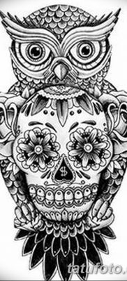 фото тату сова с черепом от 23.10.2017 №006 — tattoo owl with a skull — tatufoto.com