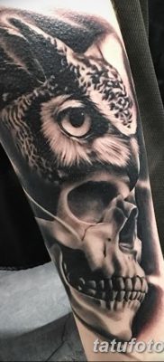 фото тату сова с черепом от 23.10.2017 №007 — tattoo owl with a skull — tatufoto.com