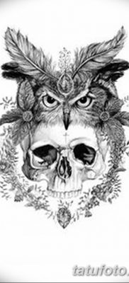 фото тату сова с черепом от 23.10.2017 №009 — tattoo owl with a skull — tatufoto.com